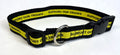 Support Our Troops Dog Collar 1in