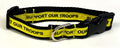 Support Our Troops Dog Collar 3/4