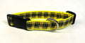 Yellow, Black and Red Plaid Dog Collar 1in