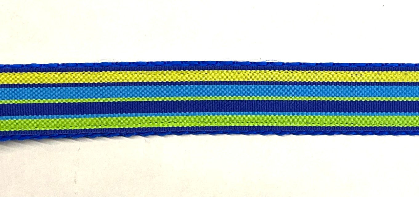 Blue, Yellow, Light Blue, and Green Stripe Martingale Collar 1in