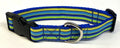 Blue, Yellow, Light Blue, and Green Stripe Dog Collar 1in