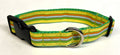 Yellow, Green, Orange, Brown, White, Blue Stripe Dog Collar 1in