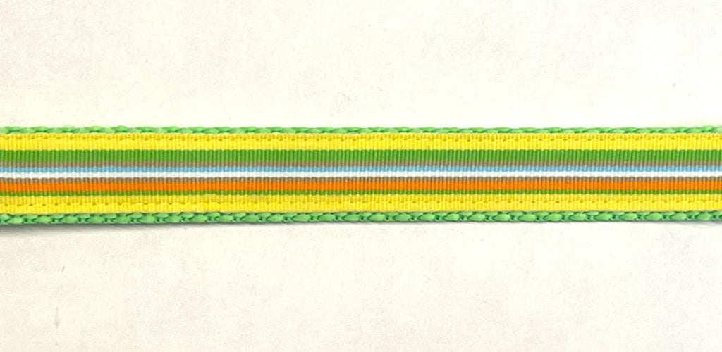 Yellow, Green, Orange, Brown, White, Blue Stripe Dog Leash 3/4