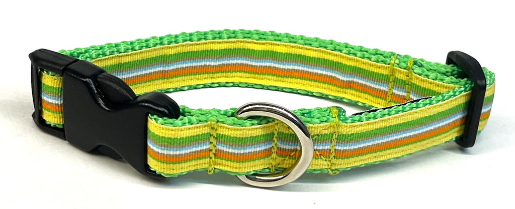 Yellow, Green, Orange, Brown, White, Blue Stripe Dog Collar 3/4