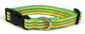 Yellow, Green, Orange, Brown, White, Blue Stripe Dog Collar 3/4