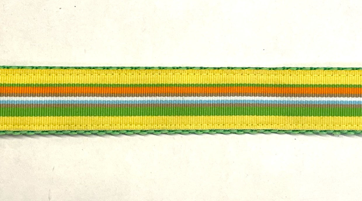 Yellow, Green, Orange, Brown, White, Blue Stripe Dog Collar 1in