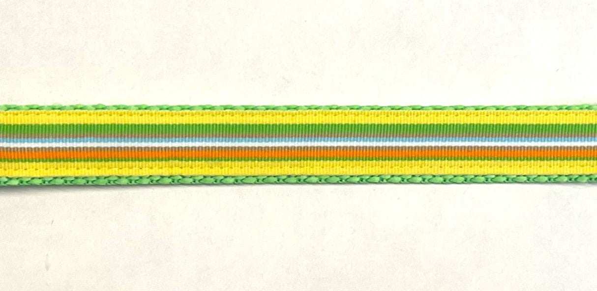 Yellow, Green, Orange, Brown, White, Blue Stripe Dog Collar 3/4 inch on green webbing