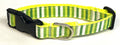 Yellow, White & Green Vertical Stripes Dog Collar 3/4