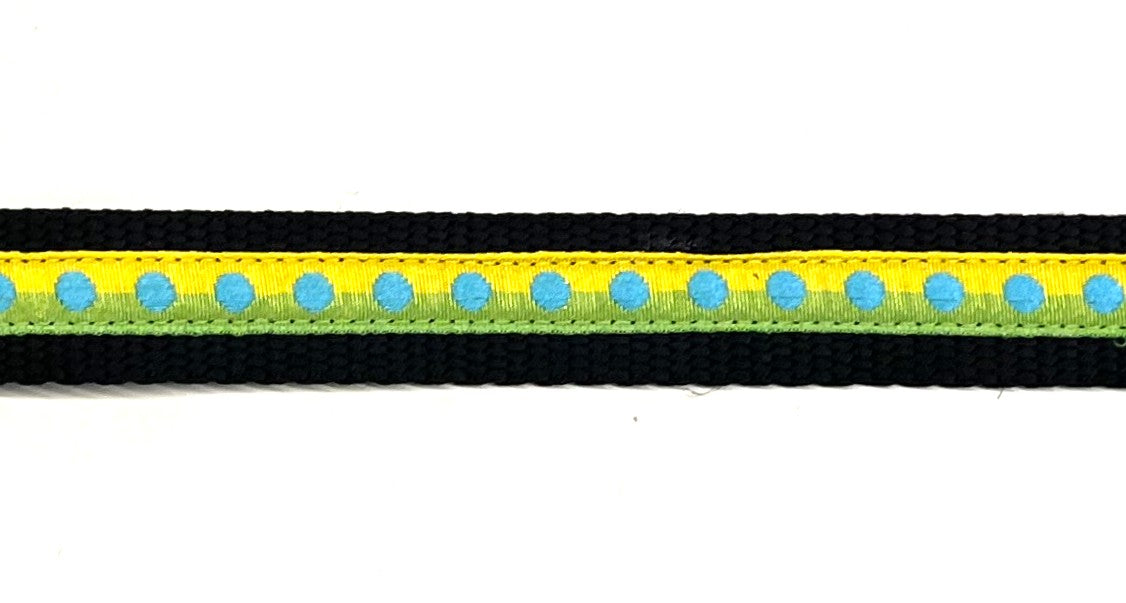 Yellow and Green with Blue Dots Dog Leash 3/4