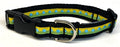 Yellow and Green with Blue Dots Dog Collar 3/4