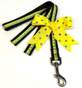 Yellow and Green with Blue Dots Dog Leash 3/4