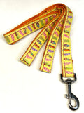 Yellow with Flip Flops Dog Leash 1in