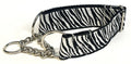 Zebra Print Chain Martingale Collar 1 1/2 in