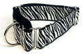 Zebra Print Martingale Collar 1 1/2 in