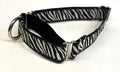 Zebra Print Martingale Collar 1in