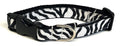 Zebra Print Dog Collar 3/4