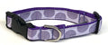 Lavender with Purple Concentric Circles Dog Collar 3/4