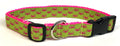 Lime Green with Pink Crabs Dog Collar 1in
